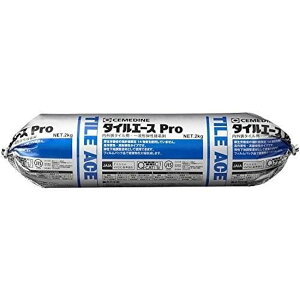 Z_C ڒ O^Cp ^CG[X Pro O[ 2kg RE-452