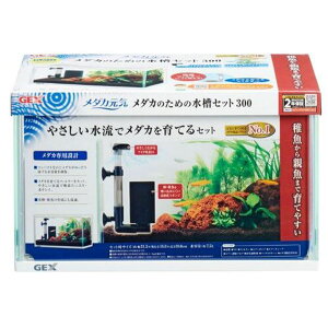 WFbNX@_JC_J̐Zbg300 ybg pi  roz[