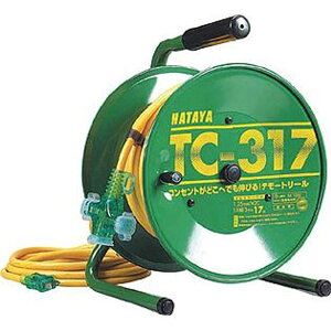 n^ tzd^R[h[ VfBe[g[ P100V TC-317