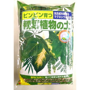 花ごころ 観葉植物の土 2L 園芸 農業 用土 ビバホーム
