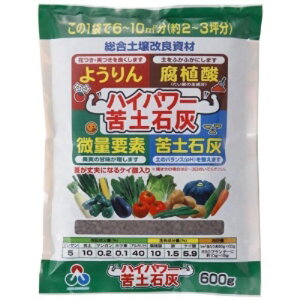 AOA@nCp[yΊD@600g | _ py roz[