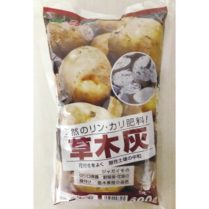 SUNBELLEX@؊D@600g | _ 엿 roz[