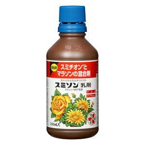 ZFw|@X~\܁@300ml | _ |pi E Eۍ roz[
