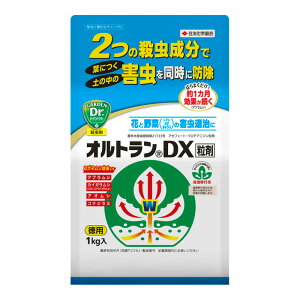 ZFw|@IgDX܁@1kg | _ |pi E Eۍ roz[