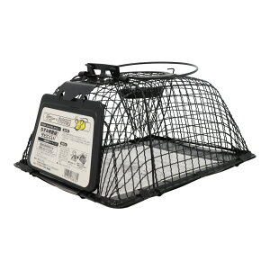 lY~߂JS@ubNnEX^ | _ |pi roz[