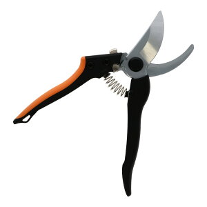 CLUBDJ@PCyʃnh@200mm | _ |n roz[