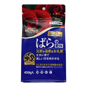 ZFw|@}C[Y@o̔엿@450g | _ 엿 roz[