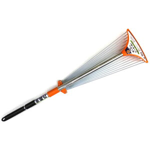 CLUBJ@WLkK[f[Lij | _ |n roz[