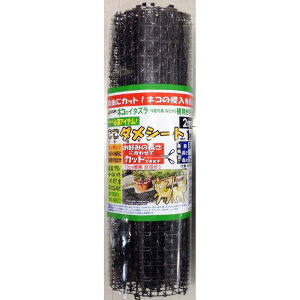 ���r�j�[���@�����_���V�[�g�@2m���@���L ���| �_�� ���|�p�i �r�o�z�[��