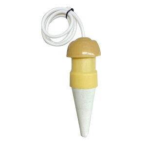 }n`@蓖ԁ@LTCY | _ Upi roz[