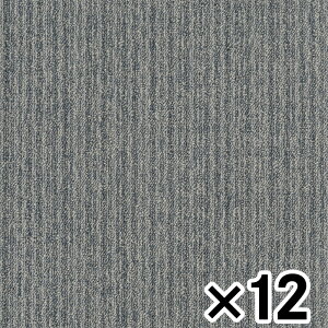  j[s^R40 NP407 \[_u[ ×12Zbg Ƌ CeA ^C}bg ^CJ[ybg ^CJ[ybg roz[