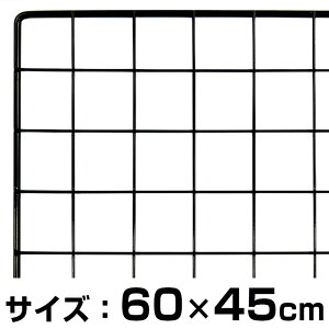 bVpl600X450~@ roz[ [ C[lbg Ɩplbg  Lb` Ɩp ƒp X fBXvC