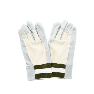 ɂvbX܁@L@10o ߗ  Ǝ H roz[