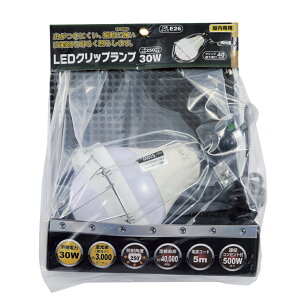 LEDNbvv 30W WLED-30 H  [NCg roz[