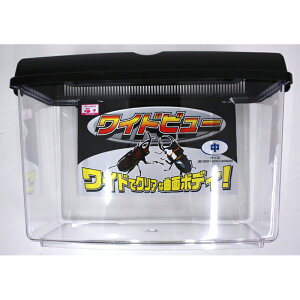 P[X@Chr[@N@ ybg pi pi roz[