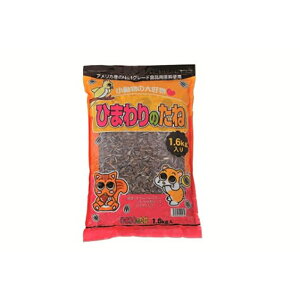 A^@Ђ܂̎@1D6kg ybg pi X nX^[t[h roz[