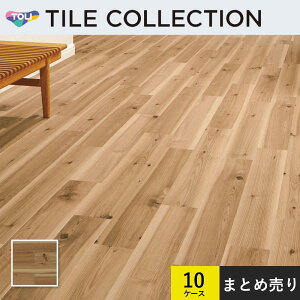 10P[XZbg̔ PWT4305 tA^C  150×900mm CEbh  P[X̔(20)×10P[X