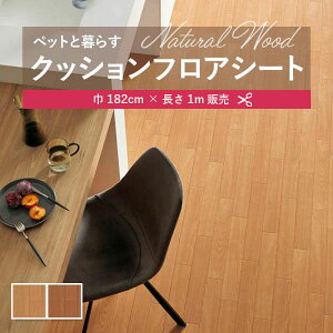 1m̔NbVV[g(1m×)ɌNbVtA NbVtA R VR[ 3.5mm 182cm ؖ TN