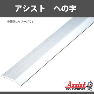 �w�̎��@�A�V�X�g�@20-101�@�����@���2m�@1�{