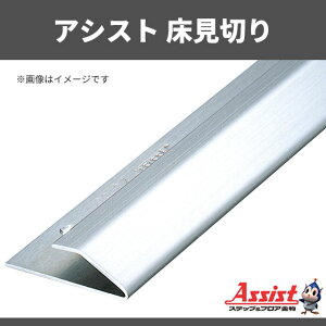 ؂@AVXg@20-304@L@mPʃt[Jbg