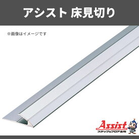 楽天市場 床 見切 アルミの通販