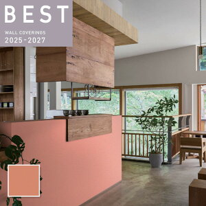 �y�����SALE�zBB2348 �ǎ� �Ζڒ� �I�����W�n ����h�~ �\�ʋ��� �L�b�Y�X�y�[�X �̂�Ȃ� �V���R�[�� �N���X �x�X�g BEST