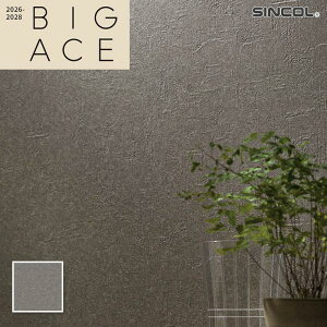 BA3090 �ǎ� �Ζ� �X�g�[�� �̂�Ȃ� �V���R�[�� �N���X �r�b�N�G�[�X (����1m×������)