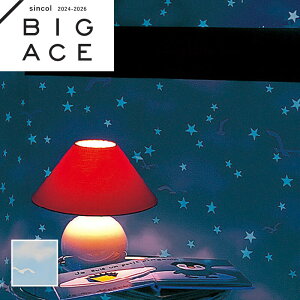 BA7445   LEDΉ ~ǎ VR[ rbNG[X NX ̂Ȃ