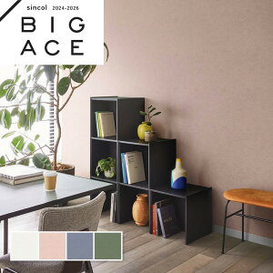 Lǎ VR[ rbNG[X NX ̂Ȃ