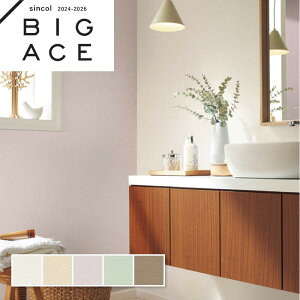 Lǎ VR[ rbNG[X NX ̂Ȃ