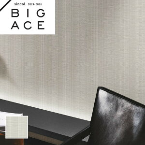 BA7329 O[ 􉽁Eەǎ VR[ rbNG[X NX ̂Ȃ