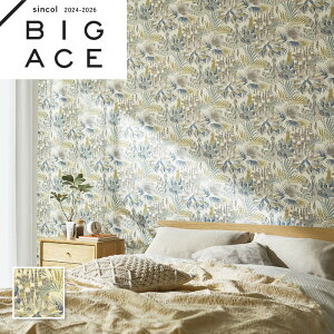 BA7376 ][g 썑 Aǎ t[ VR[ rbNG[X NX ̂Ȃ