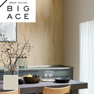 BA7276 ǎ VR[ rbNG[X NX ̂Ȃ