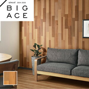 BA7301 bhV_[ ؖڒǎ Ebh VR[ rbNG[X NX ̂Ȃ