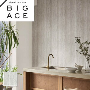 BA7245 O[ }eAǎ VR[ rbNG[X NX ̂Ȃ