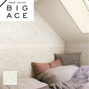 BA7404 GKgǎ VR[ rbNG[X NX ̂Ȃ