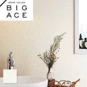 BA7379 ԕǎ t[ VR[ rbNG[X NX ̂Ȃ