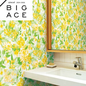 BA7381 CG[ F ԕǎ t[ VR[ rbNG[X NX ̂Ȃ