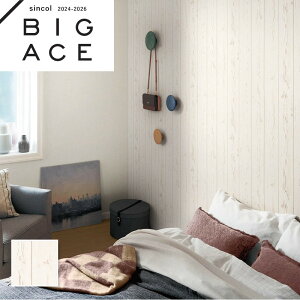 BA7297 yCgؖڒǎ Ebh VR[ rbNG[X NX ̂Ȃ