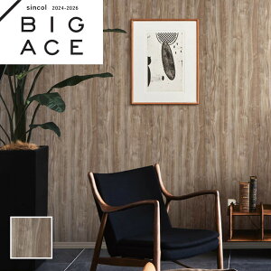 BA7289 OCbVuE AbV ؖڒǎ Ebh VR[ rbNG[X NX ̂Ȃ