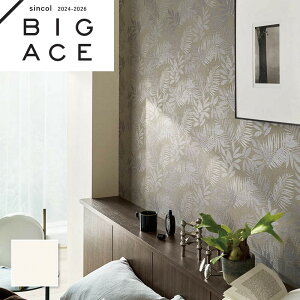 BA7365 zCgǎ t[ VR[ rbNG[X NX ̂Ȃ