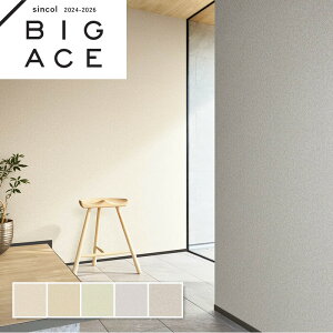 Lǎ VR[ rbNG[X NX ̂Ȃ