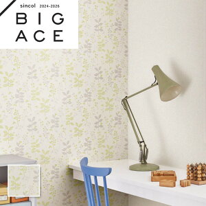 BA7382 A ԕǎ t[ VR[ rbNG[X NX ̂Ȃ