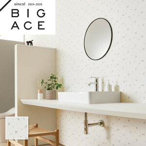 BA7429 JWAL lR q ǎ VR[ rbNG[X NX ̂Ȃ