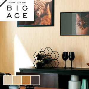 \ʋ ؖڒǎ Ebh VR[ rbNG[X NX ̂Ȃ