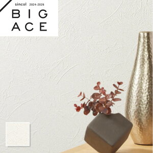 BA7200 ȃGlǎ VR[ rbNG[X NX ̂Ȃ