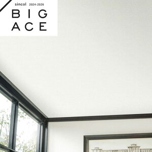 BA7212 Vɂߕǎ VR[ rbNG[X NX ̂Ȃ