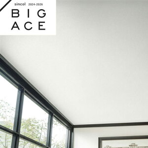 BA7213 Vɂߕǎ VR[ rbNG[X NX ̂Ȃ