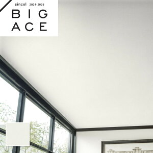 BA7208 Vɂߕǎ VR[ rbNG[X NX ̂Ȃ