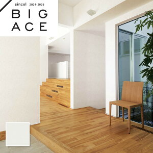 BA7218 Vɂߕǎ VR[ rbNG[X NX ̂Ȃ